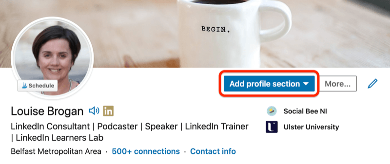ejemplo de perfil de linkedin con el botón de sección de perfil de anuncio resaltado