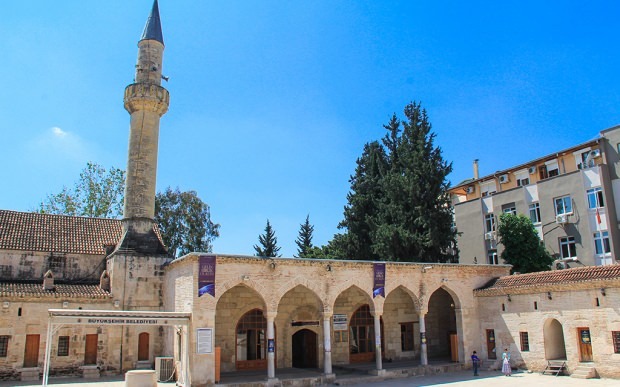 Mezquita Adana Yağ
