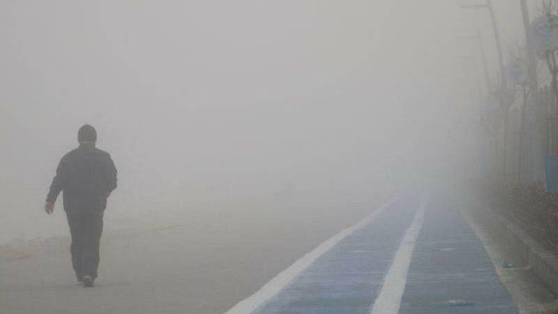 ¿Es perjudicial dar un paseo con niebla?