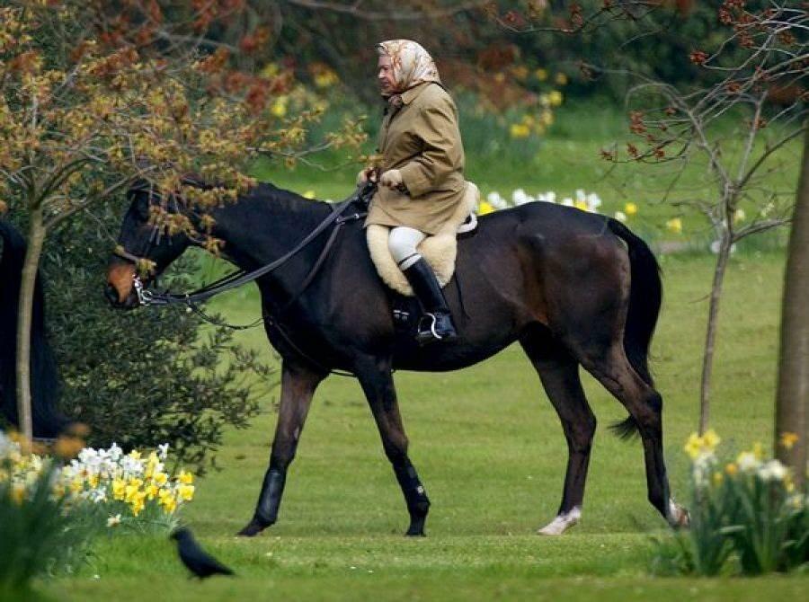 Reina Isabel en un paseo a caballo 