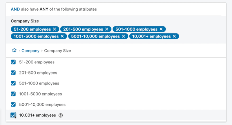 ejemplo de conjunto de atributos 'y' de audiencia objetivo de campaña publicitaria de linkedin con un tamaño de empresa entre 51 y más de 10,001 empleados
