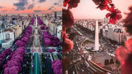 La ciudad del buen tiempo: ¡lugares para visitar en Buenos Aires!