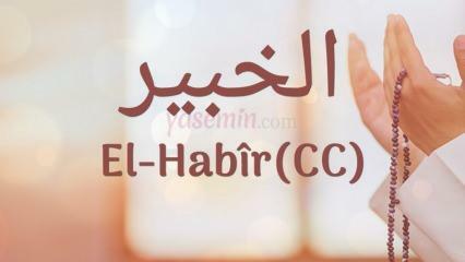 ¿Qué significa al-Habir (c.c)? ¿Cuáles son las virtudes del nombre Al-Habir? Esmaul Husna Al Habir...