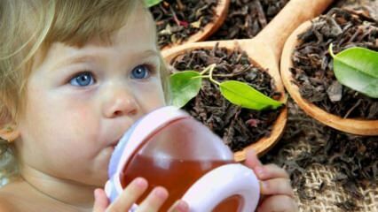 ¿Pueden los bebés tomar té?