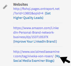 Si bien ya no puede personalizar los enlaces de su perfil de LinkedIn, puede incluir descripciones junto a ellos.
