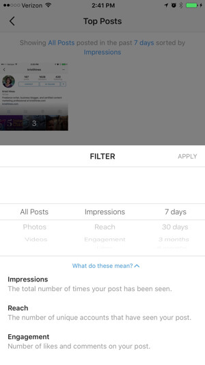 filtro de información de perfil empresarial de instagram