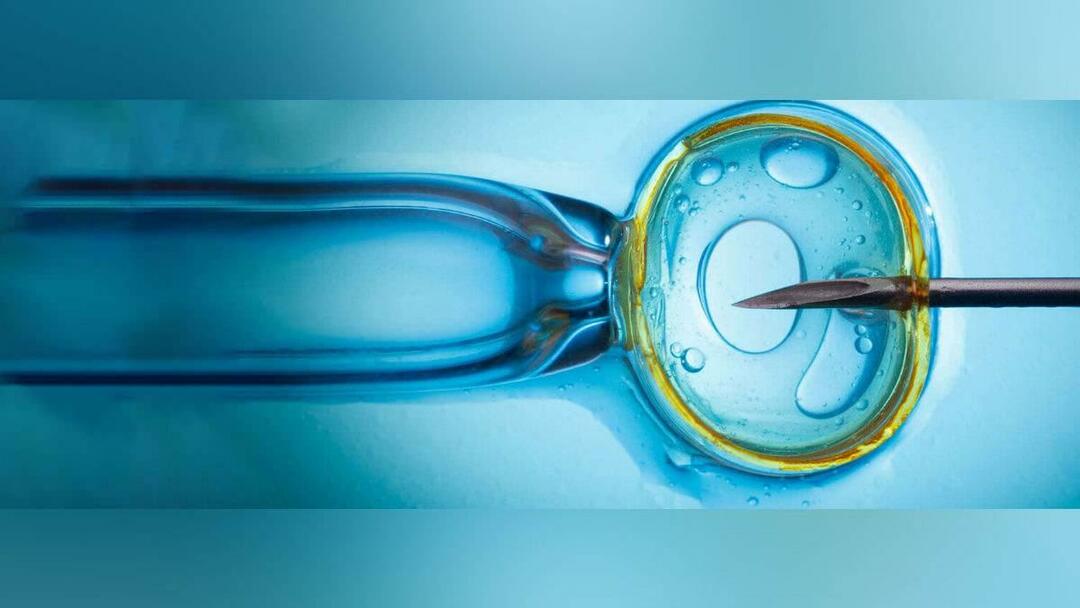 El tratamiento de fertilización in vitro está cubierto por el estado