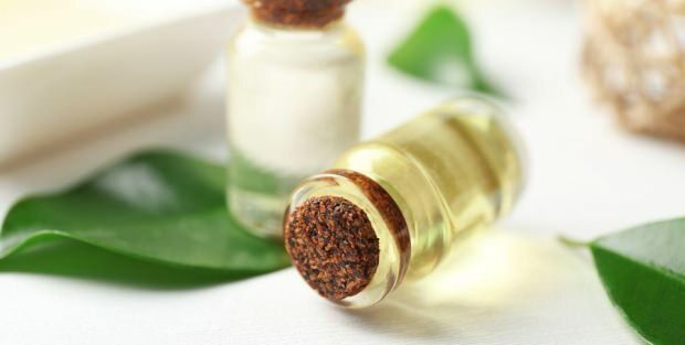 ¿Cuáles son los beneficios de la crema de aceite de árbol de té para la piel? Recomendaciones de uso de la crema de aceite de árbol de té