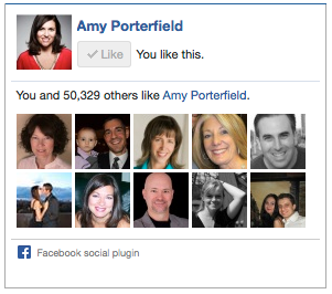 amy porterfield facebook me gusta caja