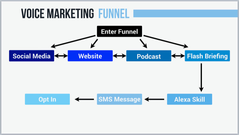 gráfico que muestra la estrategia de marketing por voz