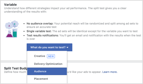 Variable de prueba de división de anuncios de Facebook