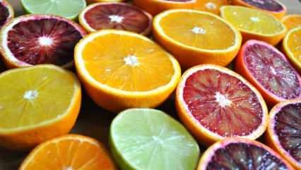 ¿Qué frutas son cítricos? ¿Cuáles son los beneficios de los cítricos?