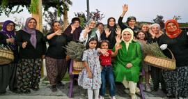 La Primera Dama Erdoğan visitó la Aldea Ecológica y cosechó lavanda en Ankara