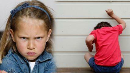 ¿Cómo lidiar con el problema de la ira en los niños? Causa de la ira y la agresión en los niños. 