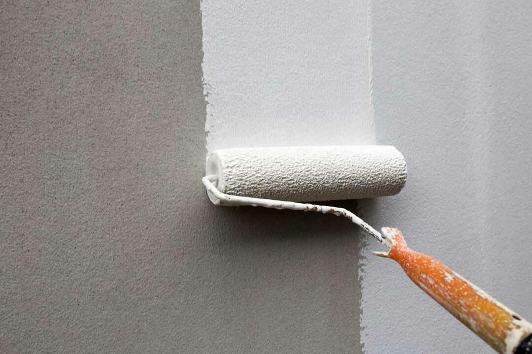 Vida de pintura de pared 