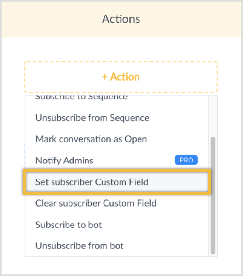 Haga clic en el botón + Acción y seleccione Establecer campo personalizado del suscriptor.