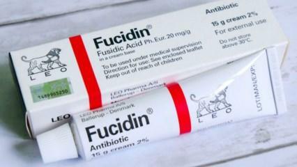 ¿Qué hace la crema Fucidin? ¿Cómo usar la crema Fucidin? Fucidin crema precio 2023