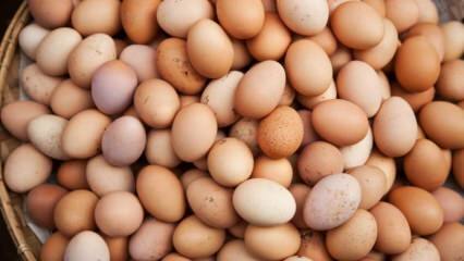 ¿Qué se debe considerar al elegir un huevo?