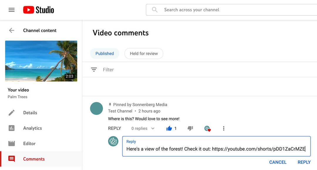 cómo-usar-youtube-shorts-commenting-feature-to-tag-and-mention-comenters-responding-to-original-comment-with-text-comment-example-14