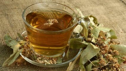 ¿Cuáles son los beneficios del tilo? ¿Para qué enfermedades son buenas? ¿Cómo hacer té de tilo?