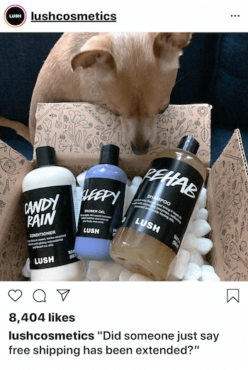 Publicación comercial de Instagram con perro