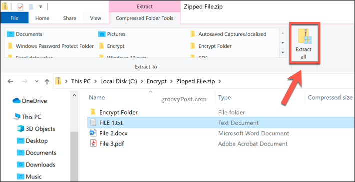 Extraer todos los botones en un archivo Zip de Windows