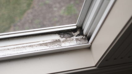 ¿Cómo limpiar los alféizares de las ventanas? 