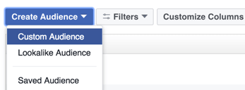 Haga clic en la opción para crear una audiencia personalizada de Facebook.