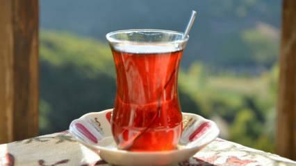 ¿Cómo saber si el té es de buena calidad? Maneras de entender la calidad del té.