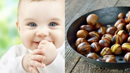 ¡Saraçoğlu explicó los beneficios de la castaña! ¿Cuántos meses el bebé puede comer castañas? ¿La castaña produce gas en el bebé?