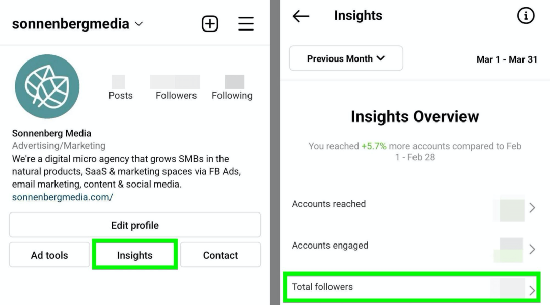 imagen de la opción Seguidores totales de Instagram Insights