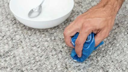 ¿Cómo eliminar la mancha de vómito en la alfombra? Método fácil para eliminar la mancha de vómito