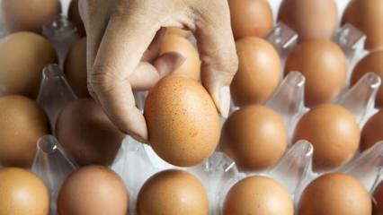 Consejos prácticos para mantener los huevos frescos.